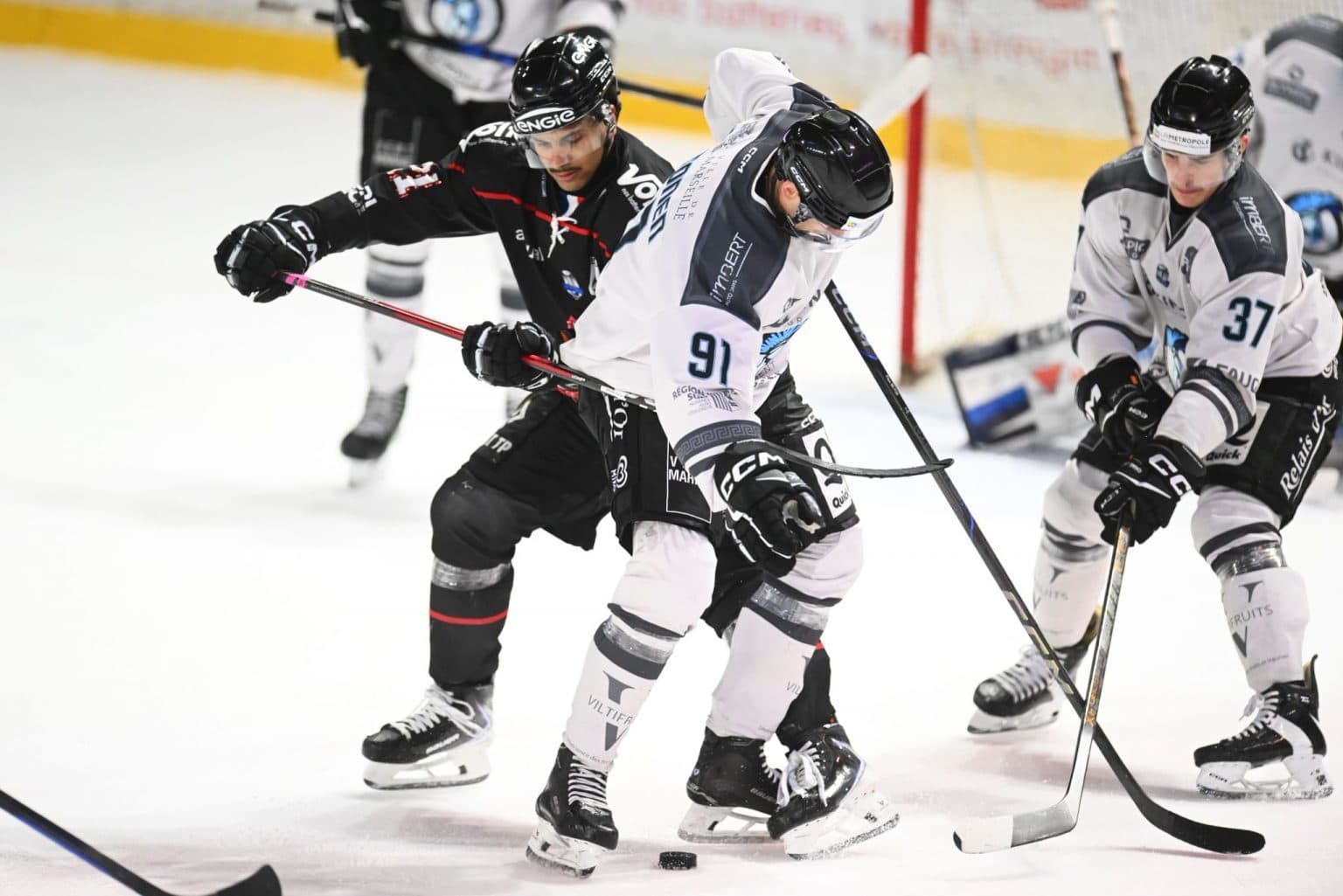 Action de match des Spartiates de Marseille en Ligue Magnus